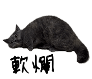 722977840