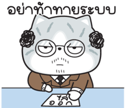 722984842