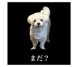 722988768