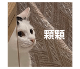 722991110