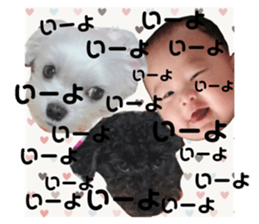 72306713