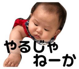 72306732