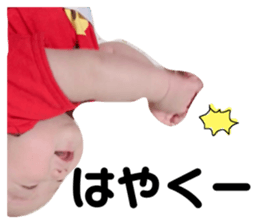 72306733