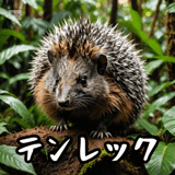 723088018