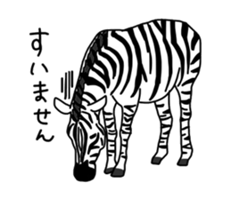 7231250
