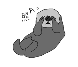 7231254