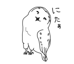 7231255