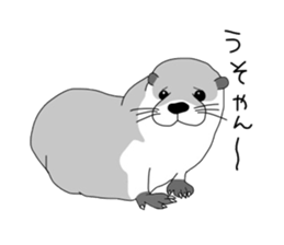 7231256