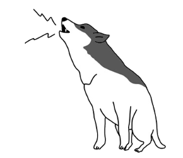 7231265