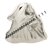 723201093