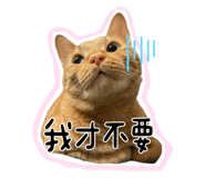 723211103