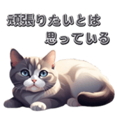 723216585