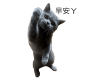 723219437