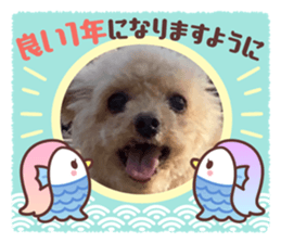 723234429