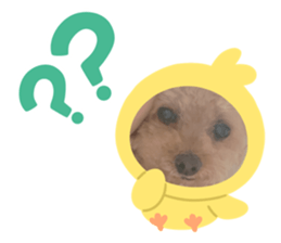 723234432