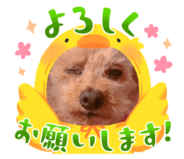 723234439