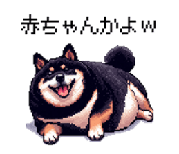 723236373