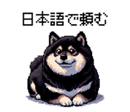 723236380