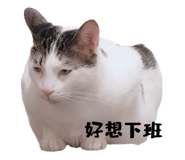 723236689
