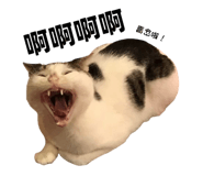 723236690