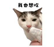 723236692