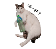 723236693
