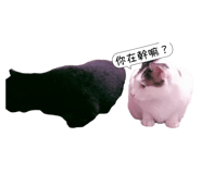 723236694