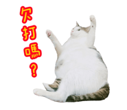 723236696