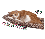 723236698
