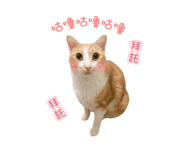 723236699