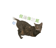 723236707