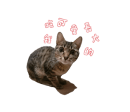 723236708
