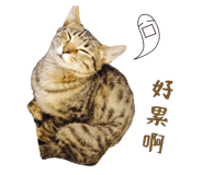 723236712