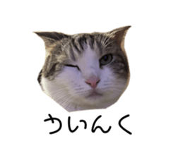 723242150