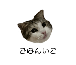 723242151