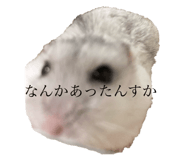 723242540
