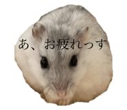 723242541
