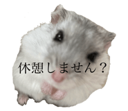 723242543