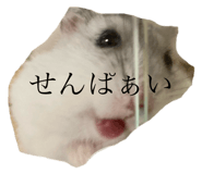 723242544