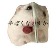 723242545