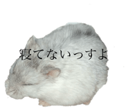 723242547