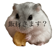 723242549