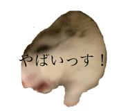 723242551