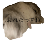 723242552