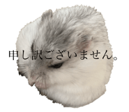 723242556