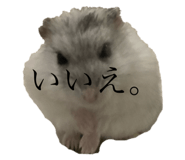 723242557
