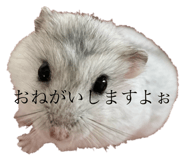 723242560