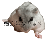 723242561