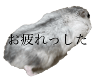 723242563