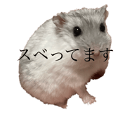 723242565